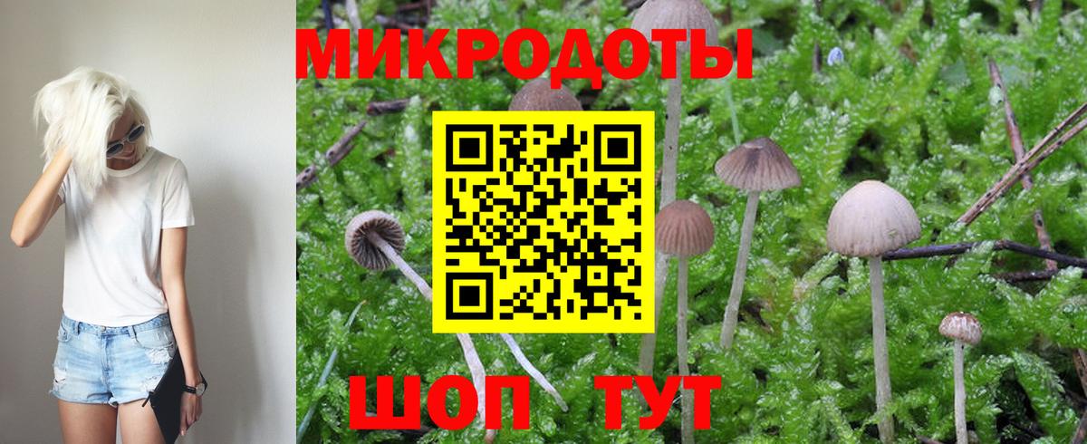 Псилоцибиновые грибы GOLDEN TEACHER  Вход с VPN  Дербент 